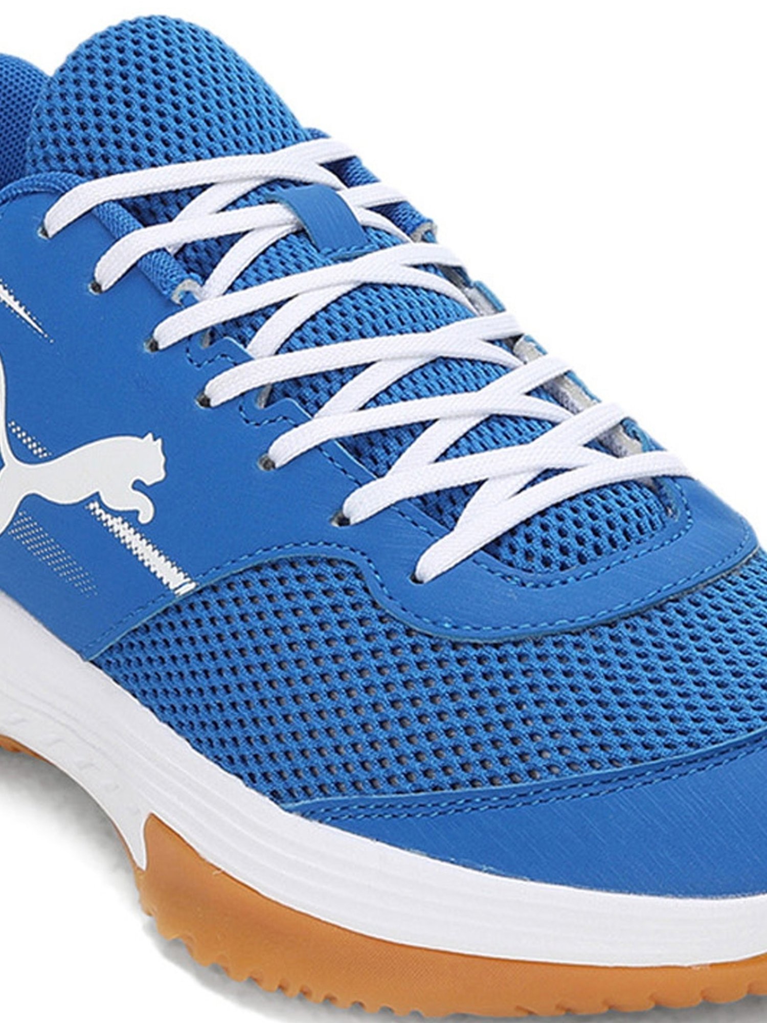 Puma Men's Varion II Blue Indoor Court Shoes