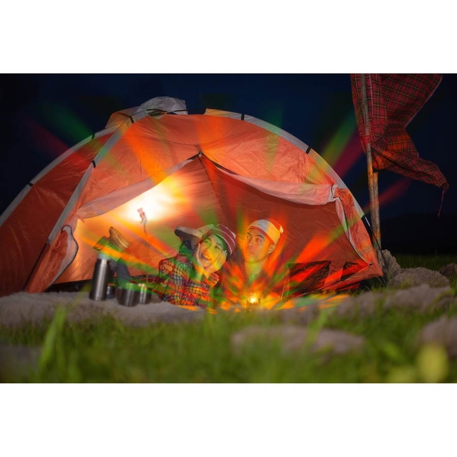 Technaxx Disco Mobile-Auto Charger TX-159 - 12 V DC, 24 V DC Input - 5 V DC/2.50 A, 9 V DC, 12 V DC Output - Black