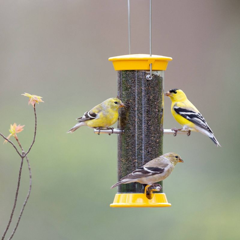 Droll Yankees New Generation 8" Finch Flocker Feeder - Yellow