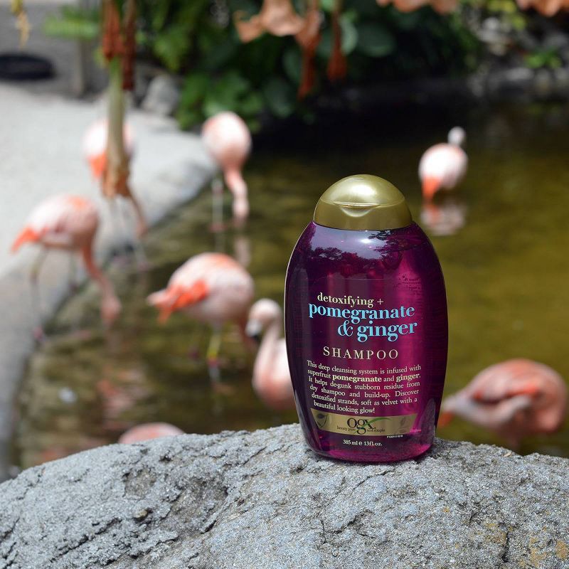 OGX Detoxifying + Pomegranate & Ginger Shampoo - 13 fl oz