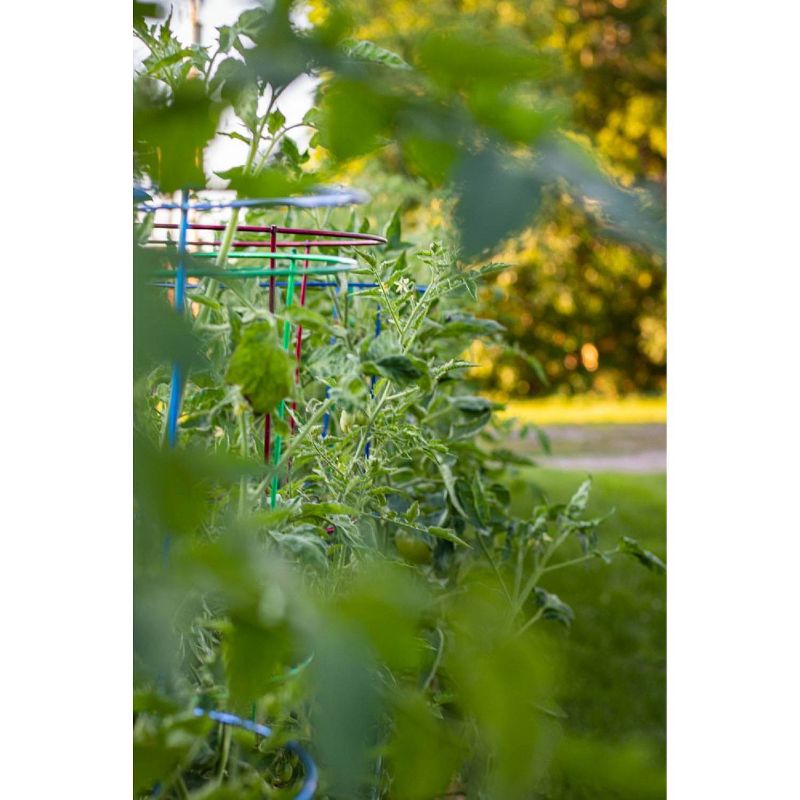 60" 5pk Plant Support Light Green - Glamos