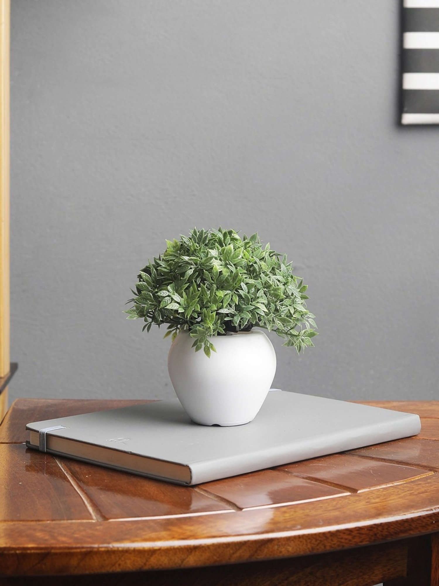 Foliyaj Multicolor Plastic Artificial Mini Bush