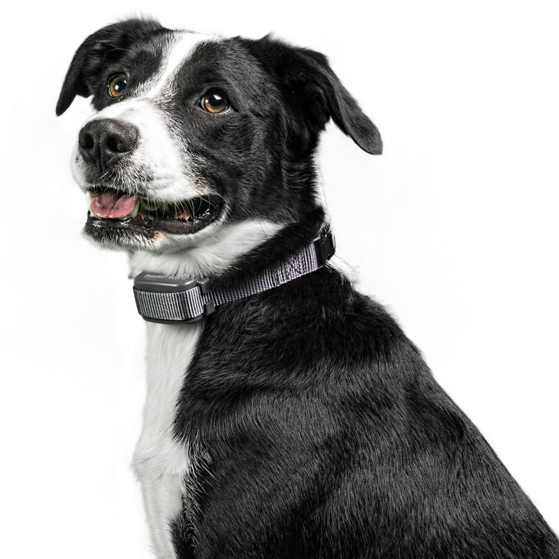 Premier Pet Rechargeable Bark Collar - Black