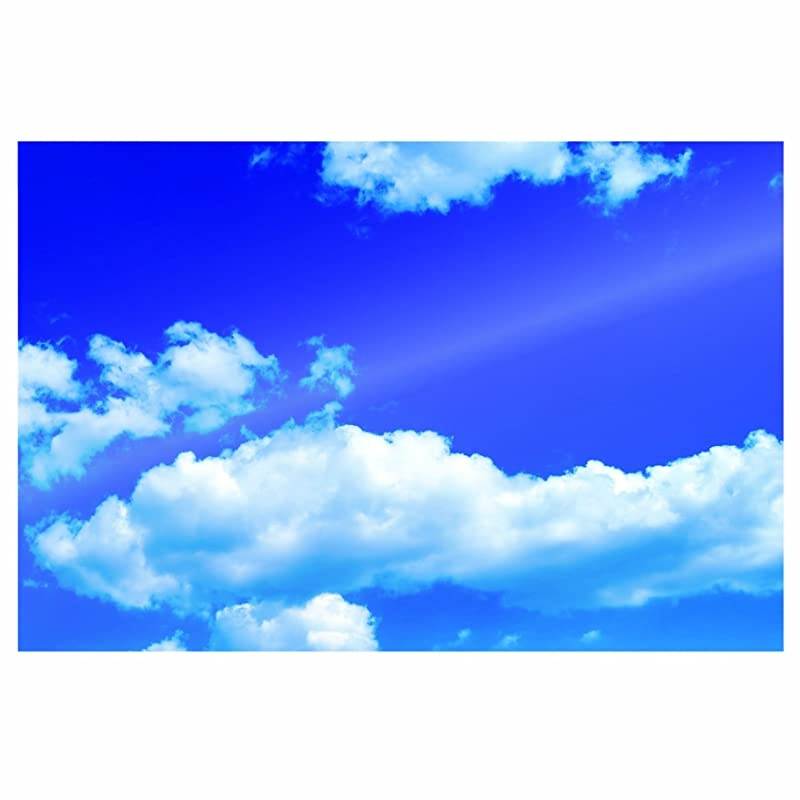 Laminating Sheets Self Adhesive Photo Size 5 Mil 5 Pack 5220401Clear