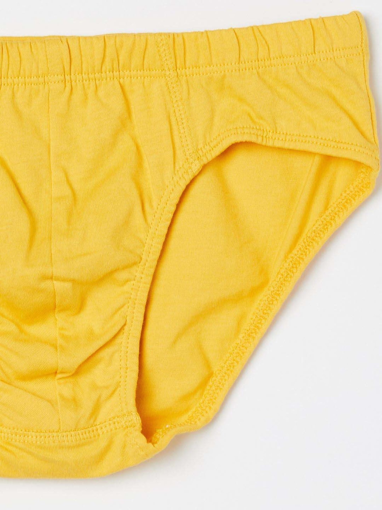 Fame Forever by Lifestyle Boys Multicolor Cotton Printed Briefs