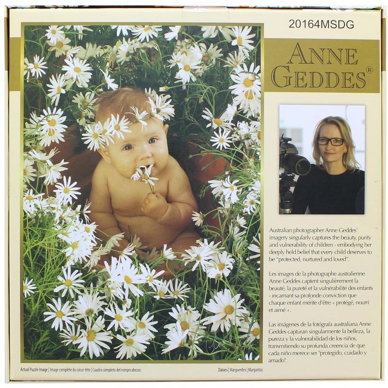 The Canadian Group Anne Gedes Daisies 1000 Piece Jigsaw Puzzle