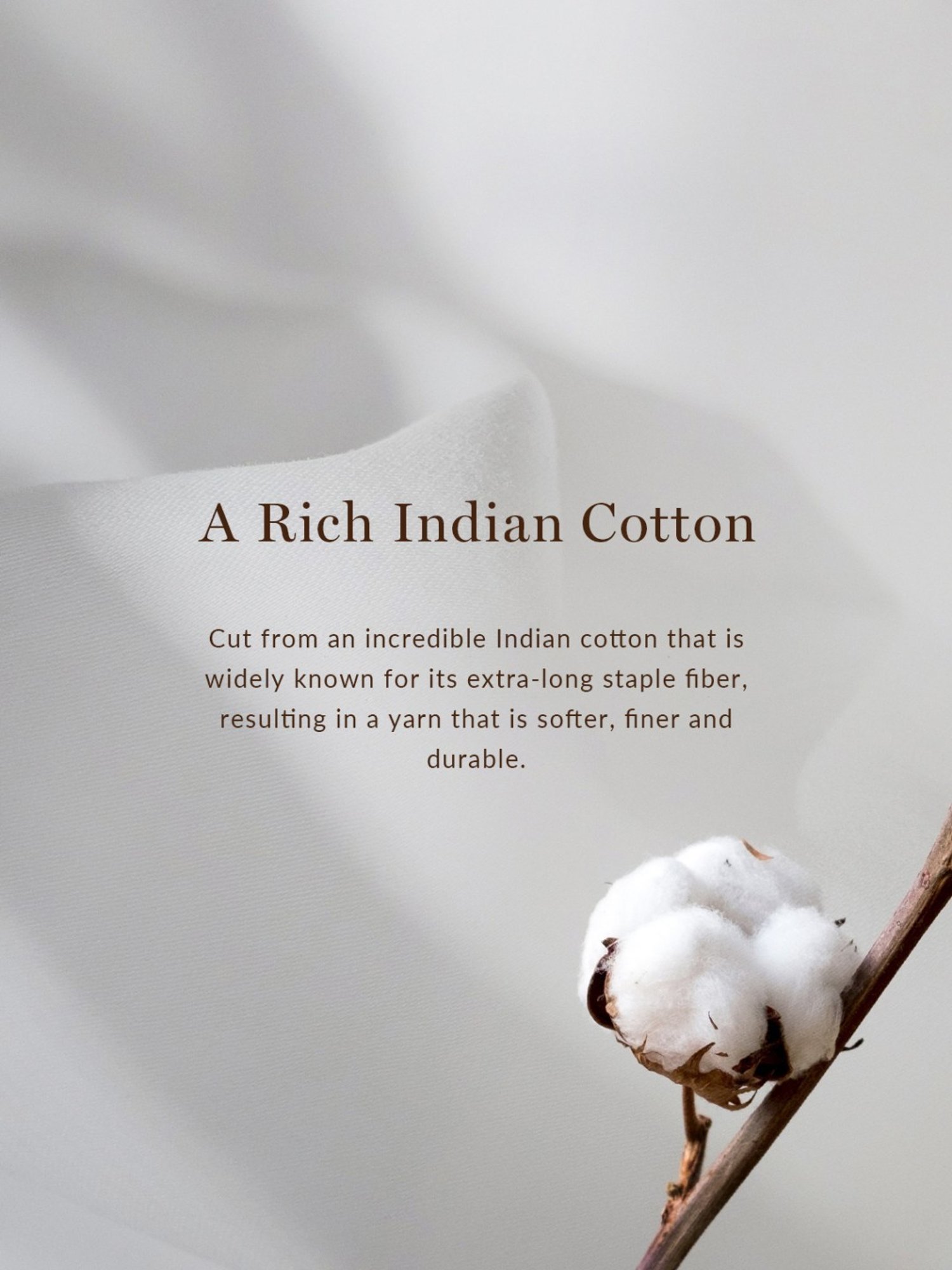 Sweet Dreams Dark Grey Regular Fit Crew T-Shirt