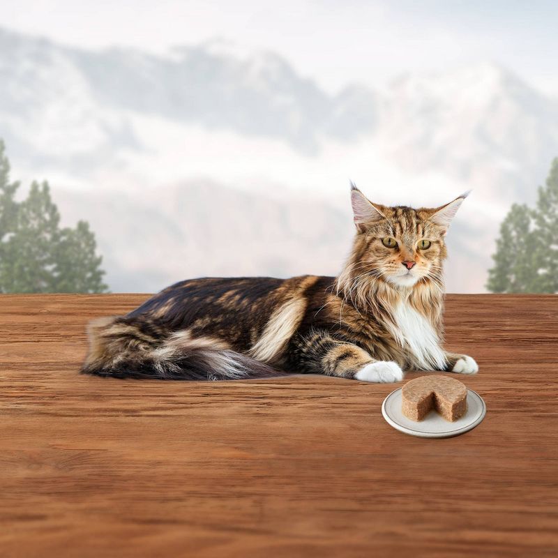 Blue Buffalo Wilderness Grain Free Premium Senior Wet Cat Food Chicken Recipe Mature - 5.5oz