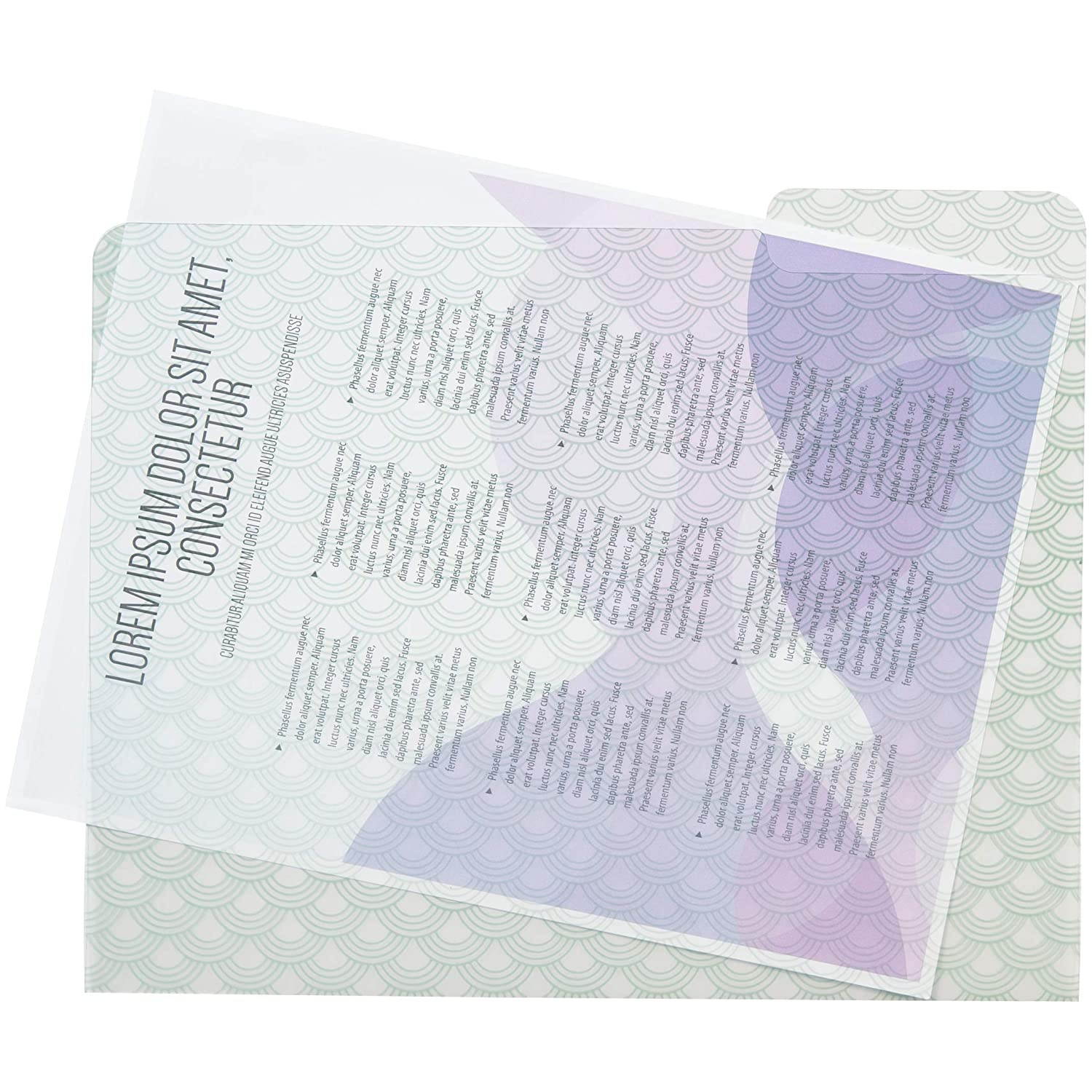 C.R. Gibson Polka Dot and Striped File Folders for Women and Home Offices, 11.6" x 9.5", Pack of 9