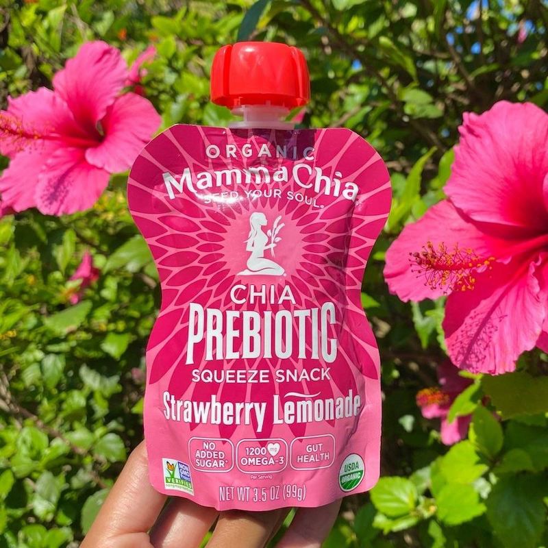 Mamma Chia Strawberry Lemonade Squeeze Vitality Snack - 4ct