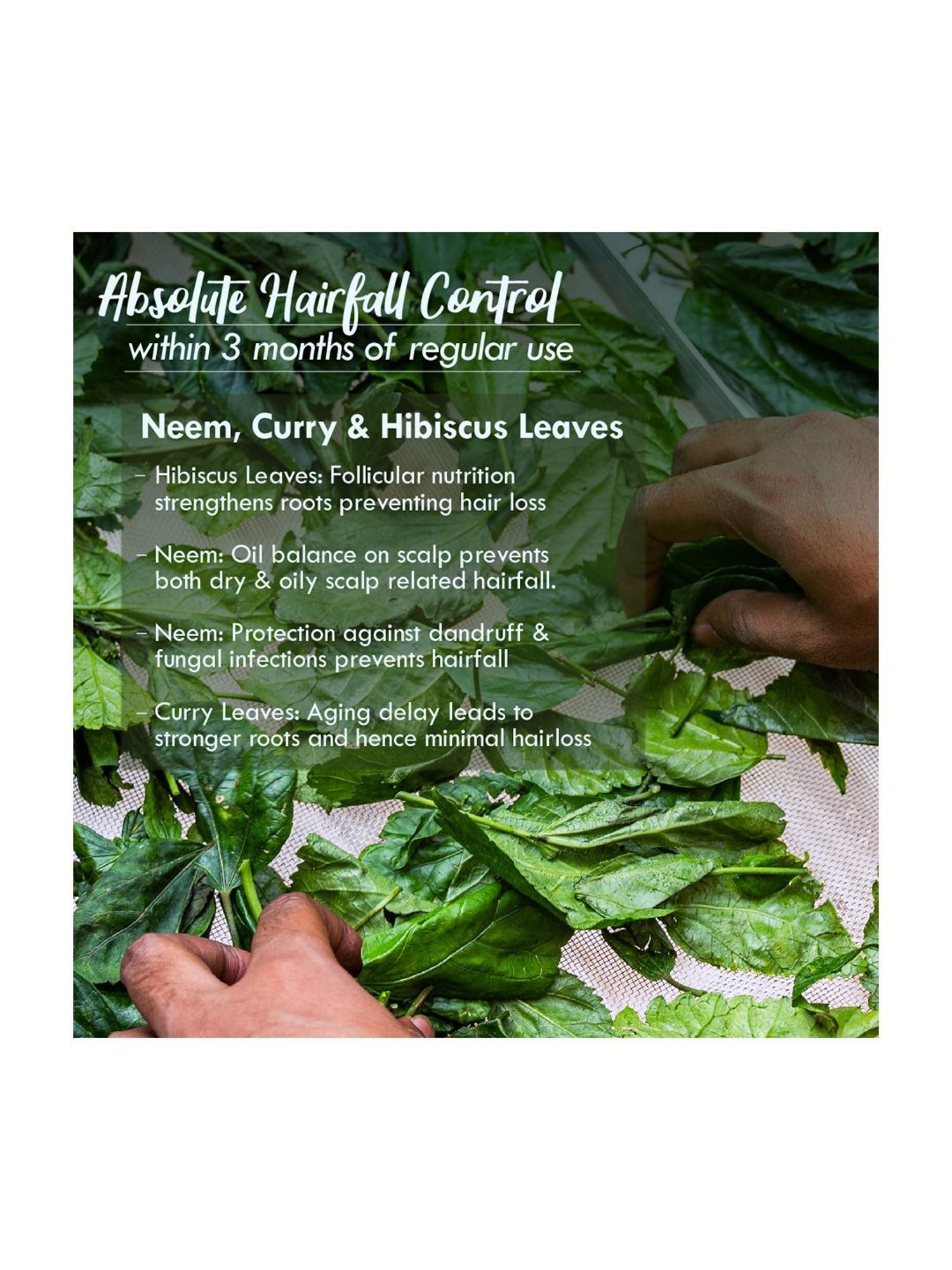 Earthraga Moroccan Argan Hair Oil - 100 ml