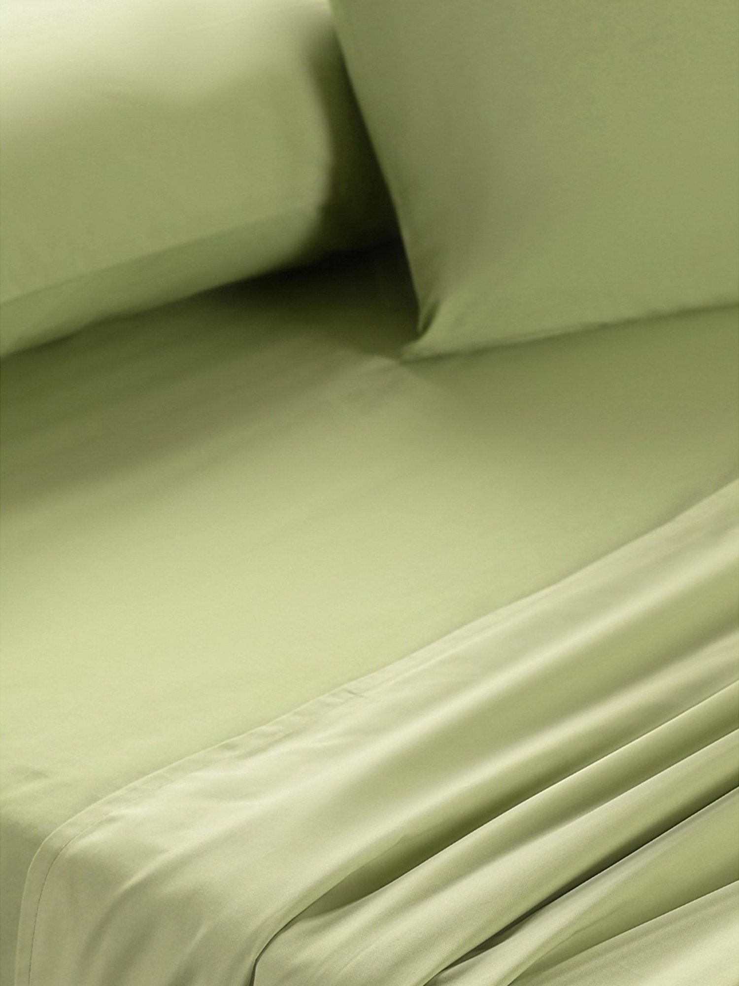 Maspar Colorart Eden Sage Green 144 TC Cotton King Bed Sheet With 2 Pillow Covers