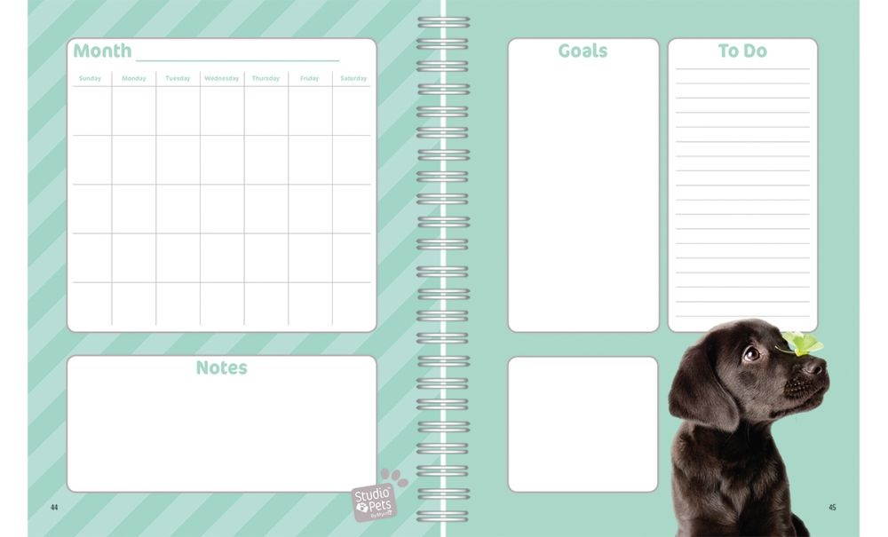 Turner Licensing,  Puppies Perpetual Calendar by Studio Pets