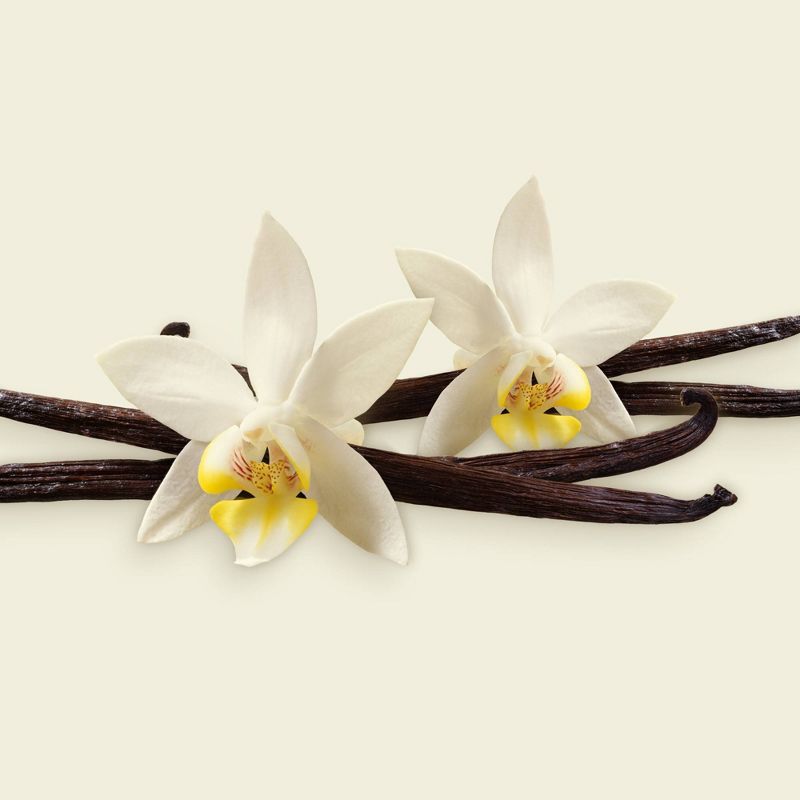 Tillamook Vanilla Bean Ice Cream Sandwich - 12oz/4ct