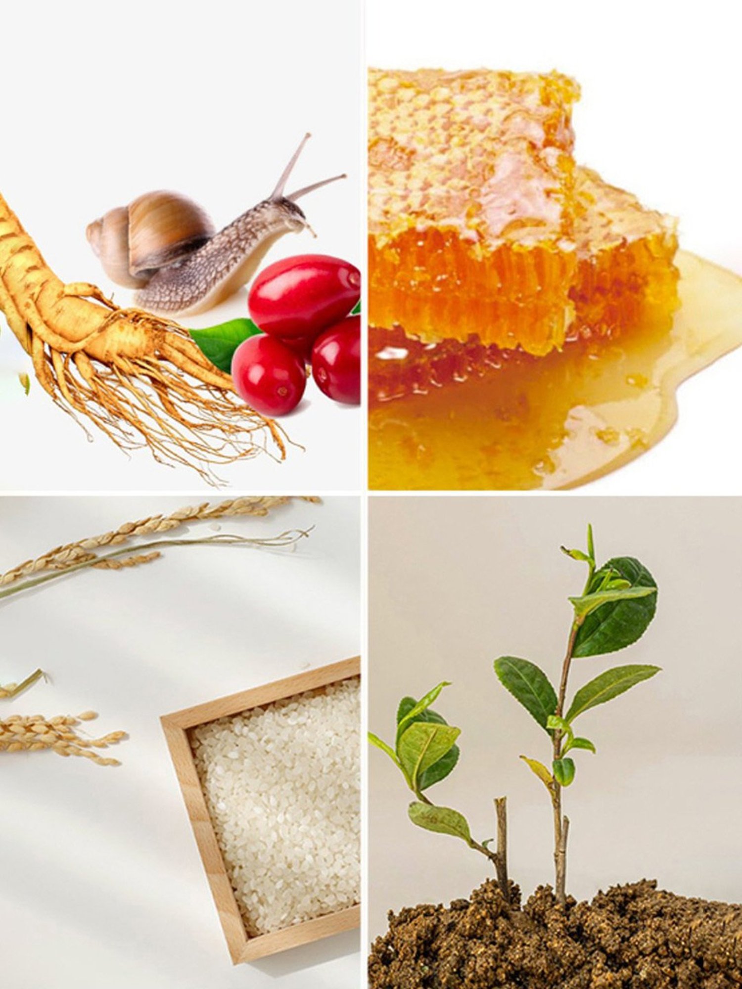 Beauty of Joseon Hanbang Serum Discovery Kit - Pack of 4