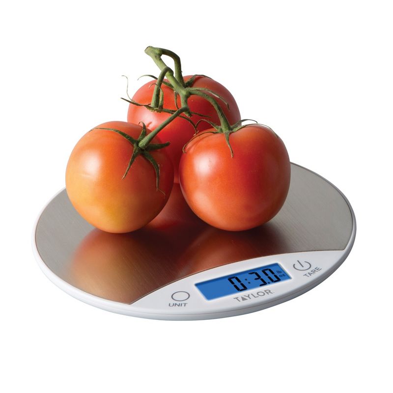 Taylor Digital 11lb Food Scale - White/Stainless