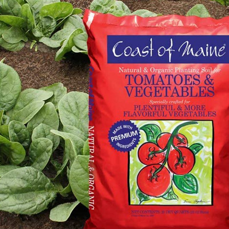 Coast of Maine OMRI Listed Tomato and Vegetable Plant Potting Soil Compost Blend for Container Gardens and Flower Pots, 20 Quart Bag (2 Pack)