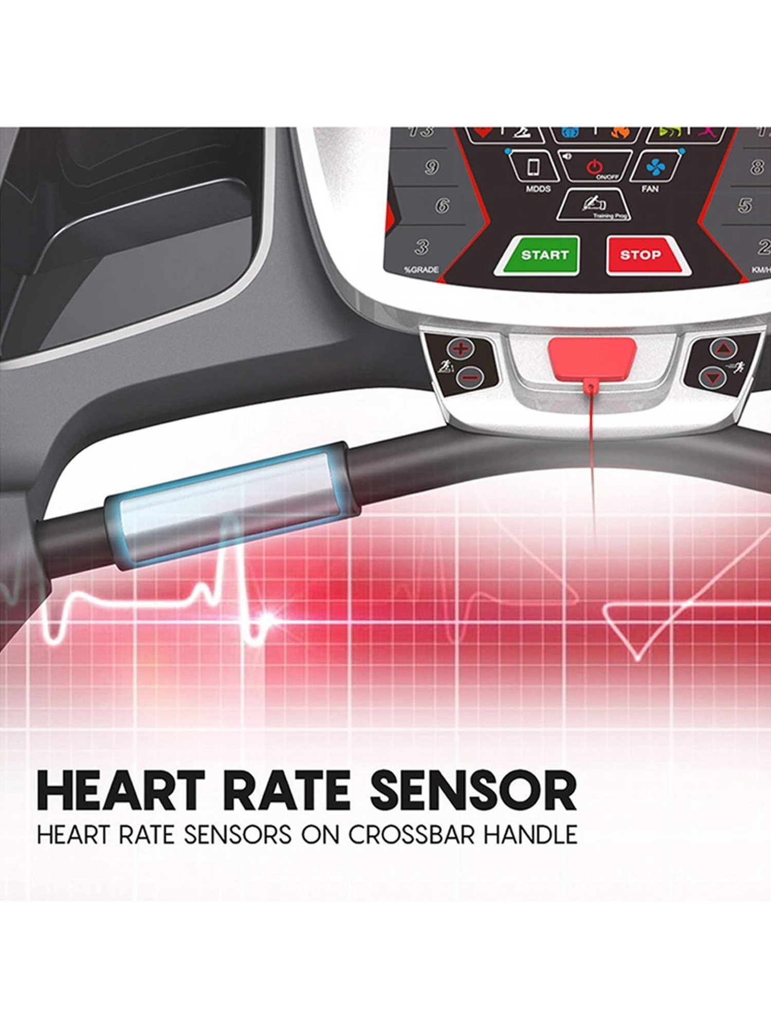 BIGBULL Rubber Coated Solid Hex Dumbbell (Pack Of Two) (2.5 Kg x 2pc (Total = 5 kg))