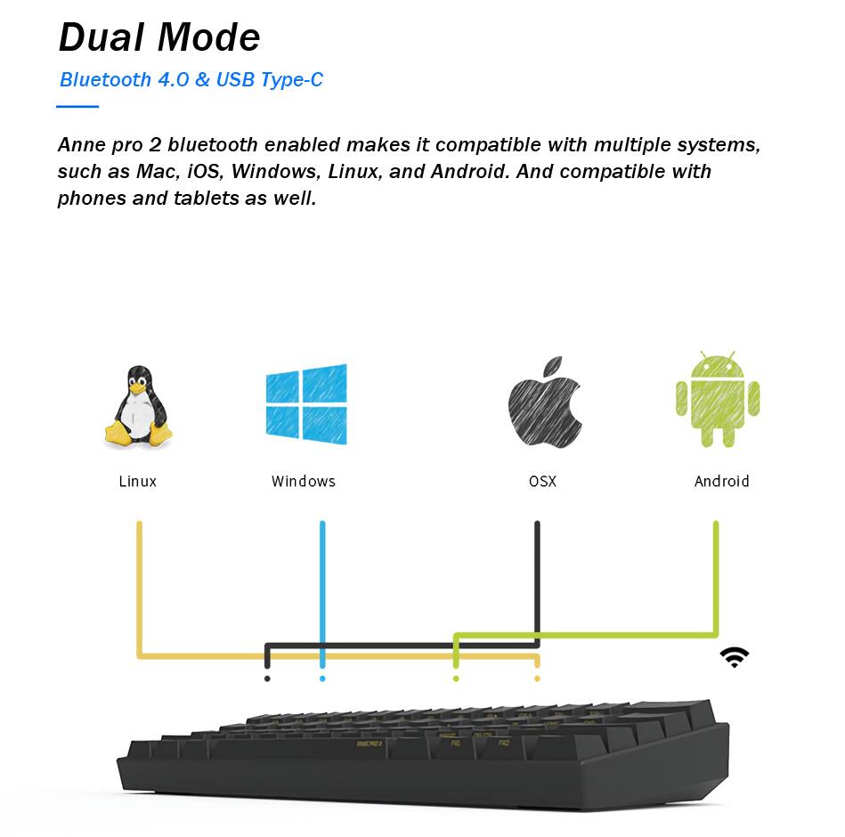 Anne Pro 2 60% Mechanical Keyboard Wired/Wireless Dual Mode Full RGB Double Shot PBT - Brown Switch