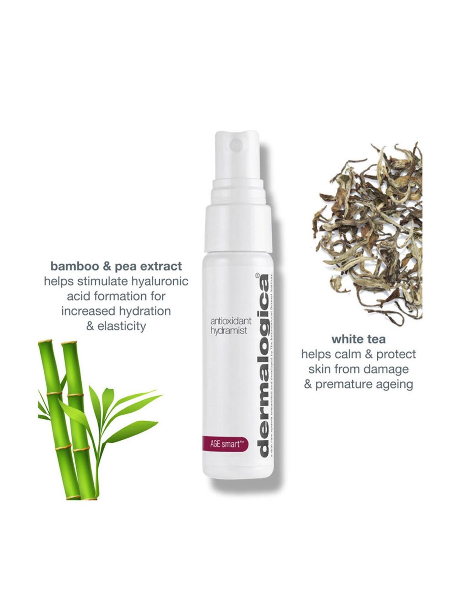 The Hade Tea Tree Facial Toner - 100 ml