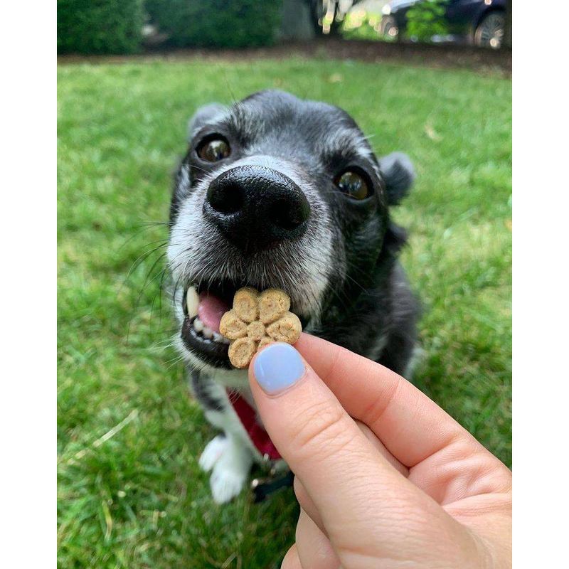 Fruitables Skinny Minis Grilled Bison Flavor Healthy Low Calorie Dog Treats - 5oz