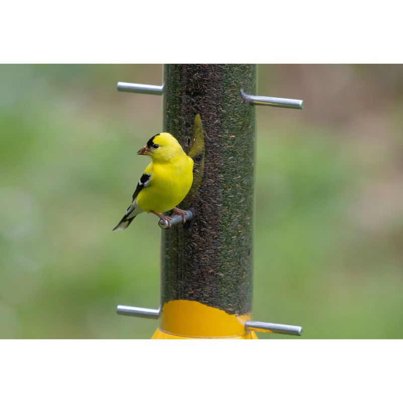 Droll Yankees New Generation 8" Finch Flocker Feeder - Yellow