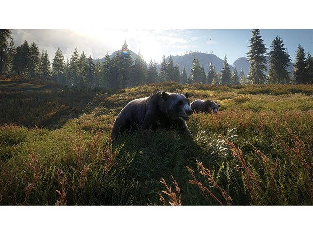 The Hunter: Call Of The Wild - PlayStation 4