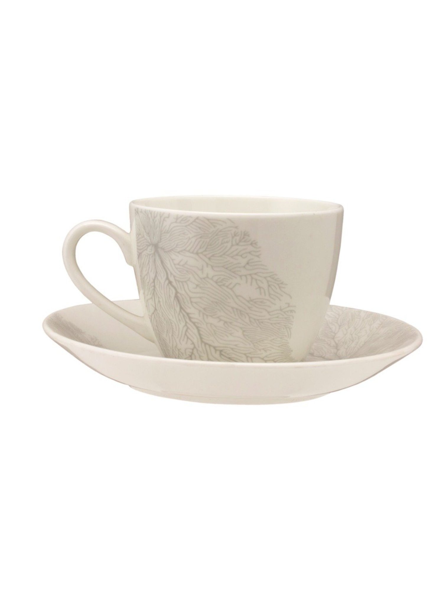 JCPL Fine Printed White Ceramic Cup & Saucer 180 ml - Set of 12