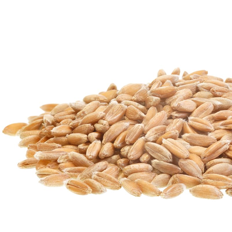 Augason Farms Hard Red Wheat Emergency Food - 26lb Pail