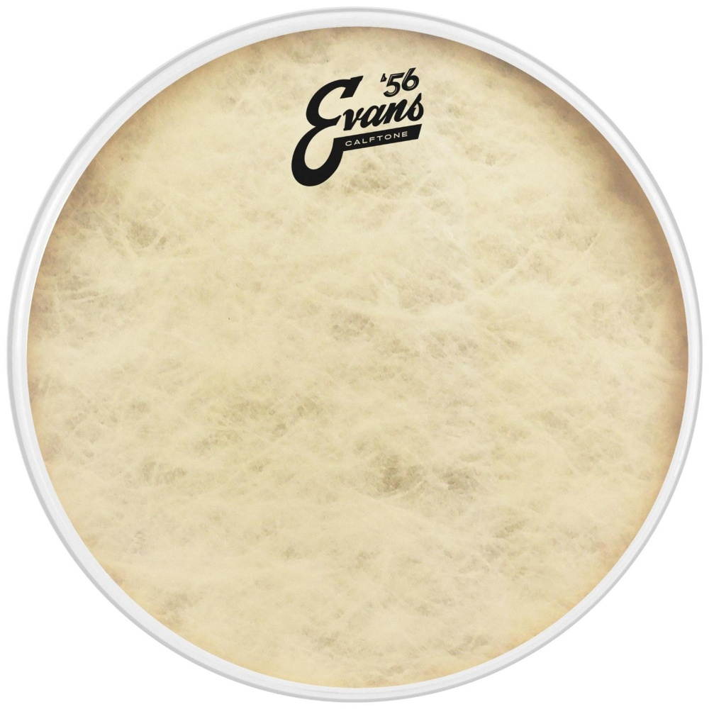 Evans 14" '56 Calftone Drum Head