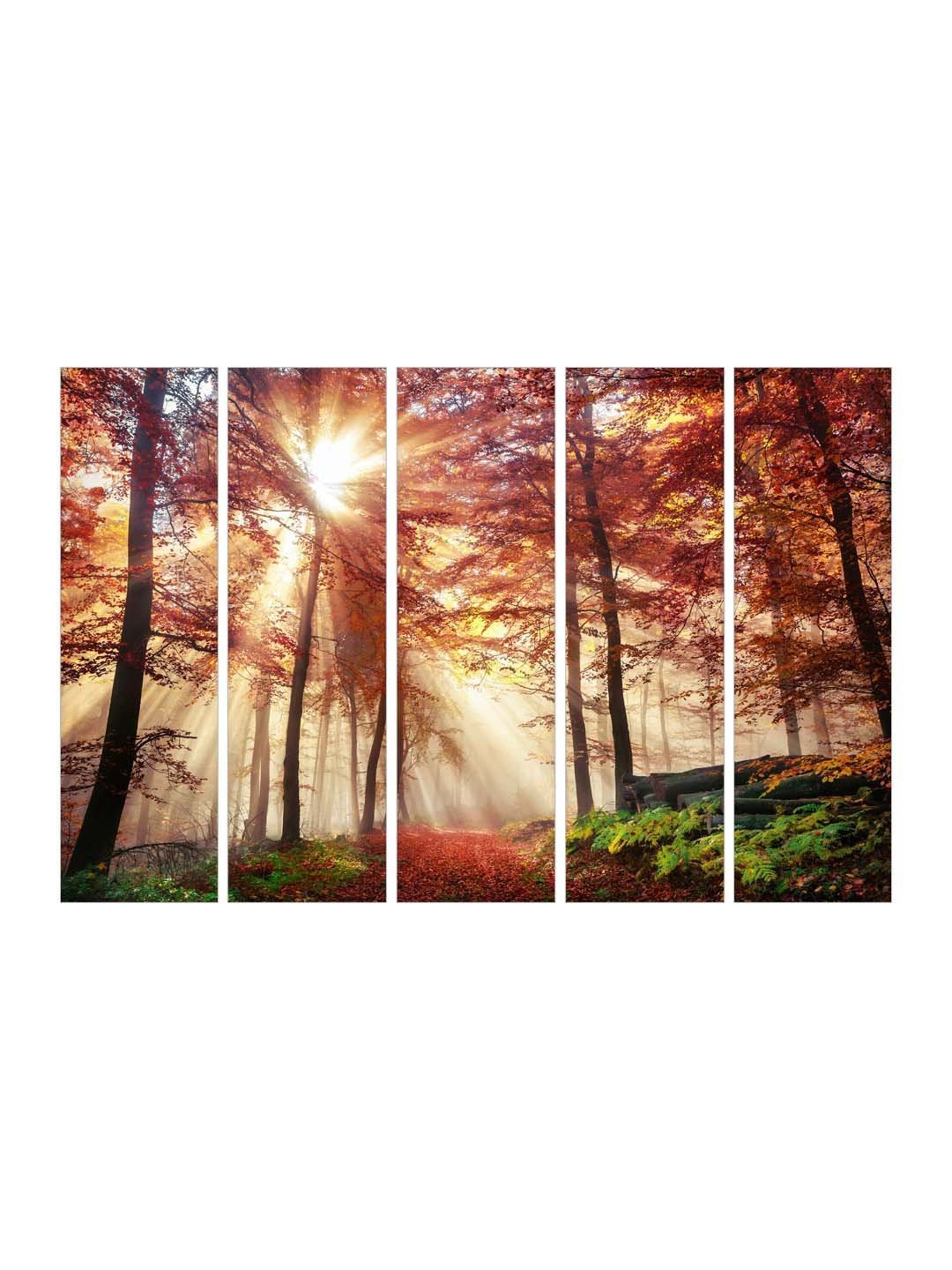 999Store Red Leaves Tree Forest Art 5 Frame MDF Paintings