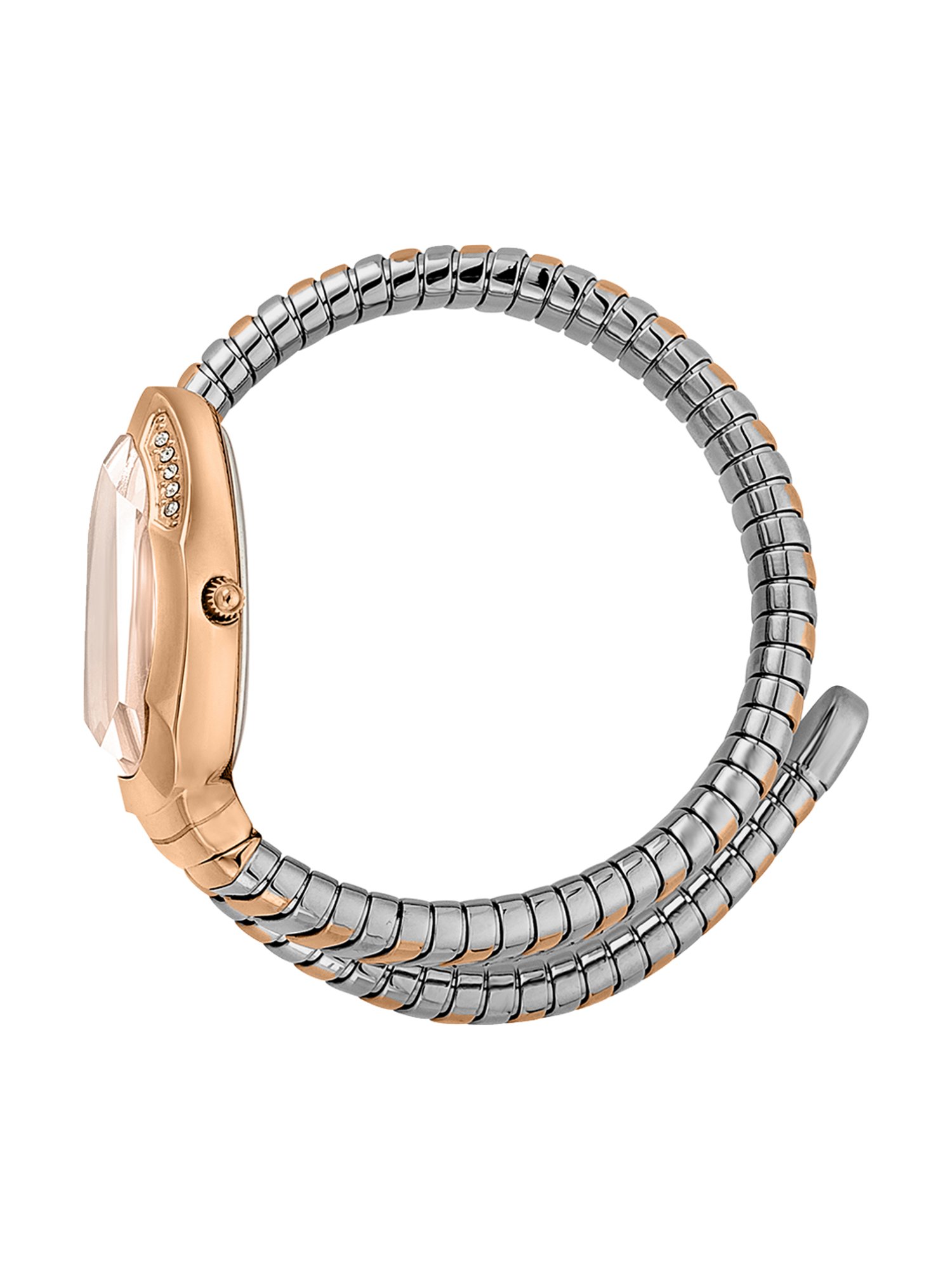 JUST CAVALLI JC1L208M0075 Analog Watch for Women