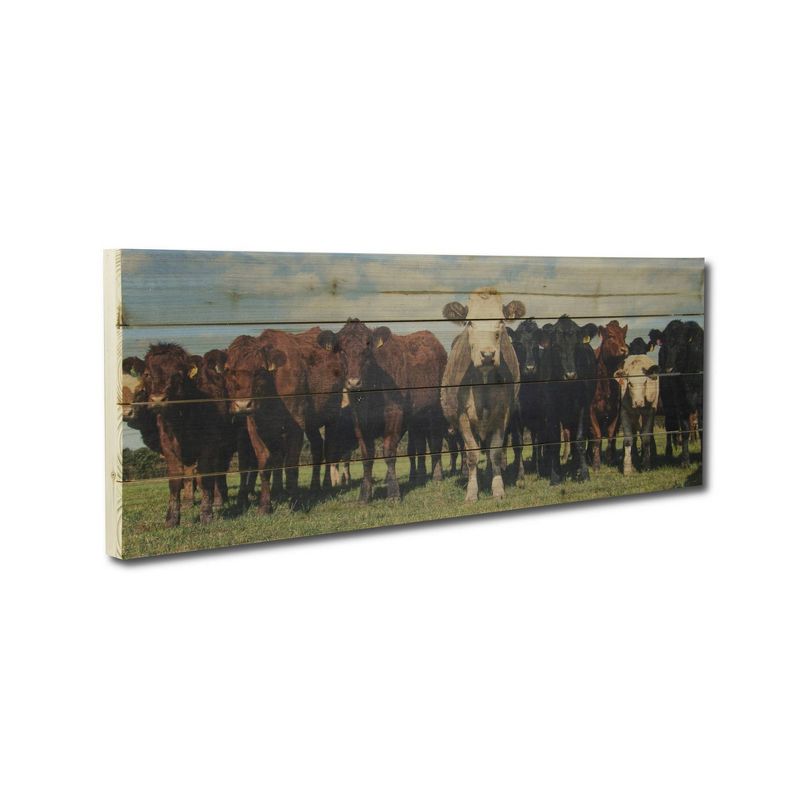 12" x 36" Cow Herd Print on Planked Wood Wall Sign Panel - Gallery 57