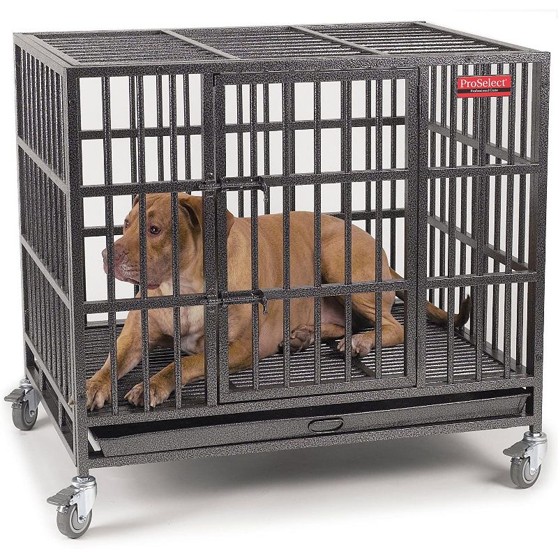 Pet Edge ZW179 37 Indestructible Steel Crate Dog Cat Small Animal Medium Wheeled Pet Cage with Tray, Black