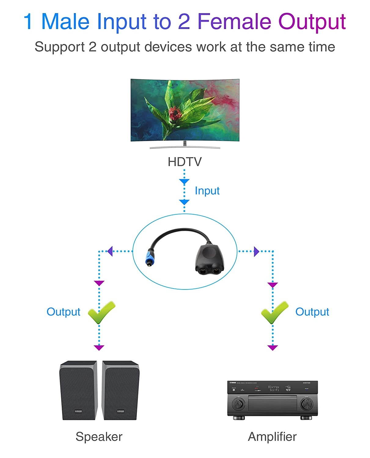 BlueRigger 1x2 Toslink Digital Fiber Optic Audio Splitter 1 Male Input 2 Female Output - with 24K Gold Plated Connectors (for Home Theatre Xbox Playstation etc.)