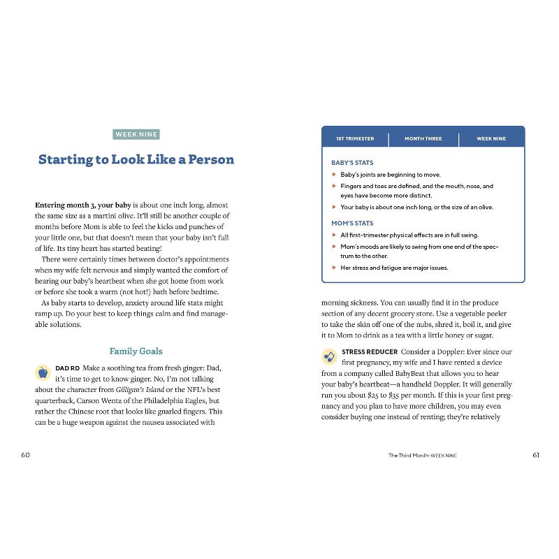 We're Pregnant! the First Time Dad's Pregnancy Handbook - by Adrian Kulp (Paperback)