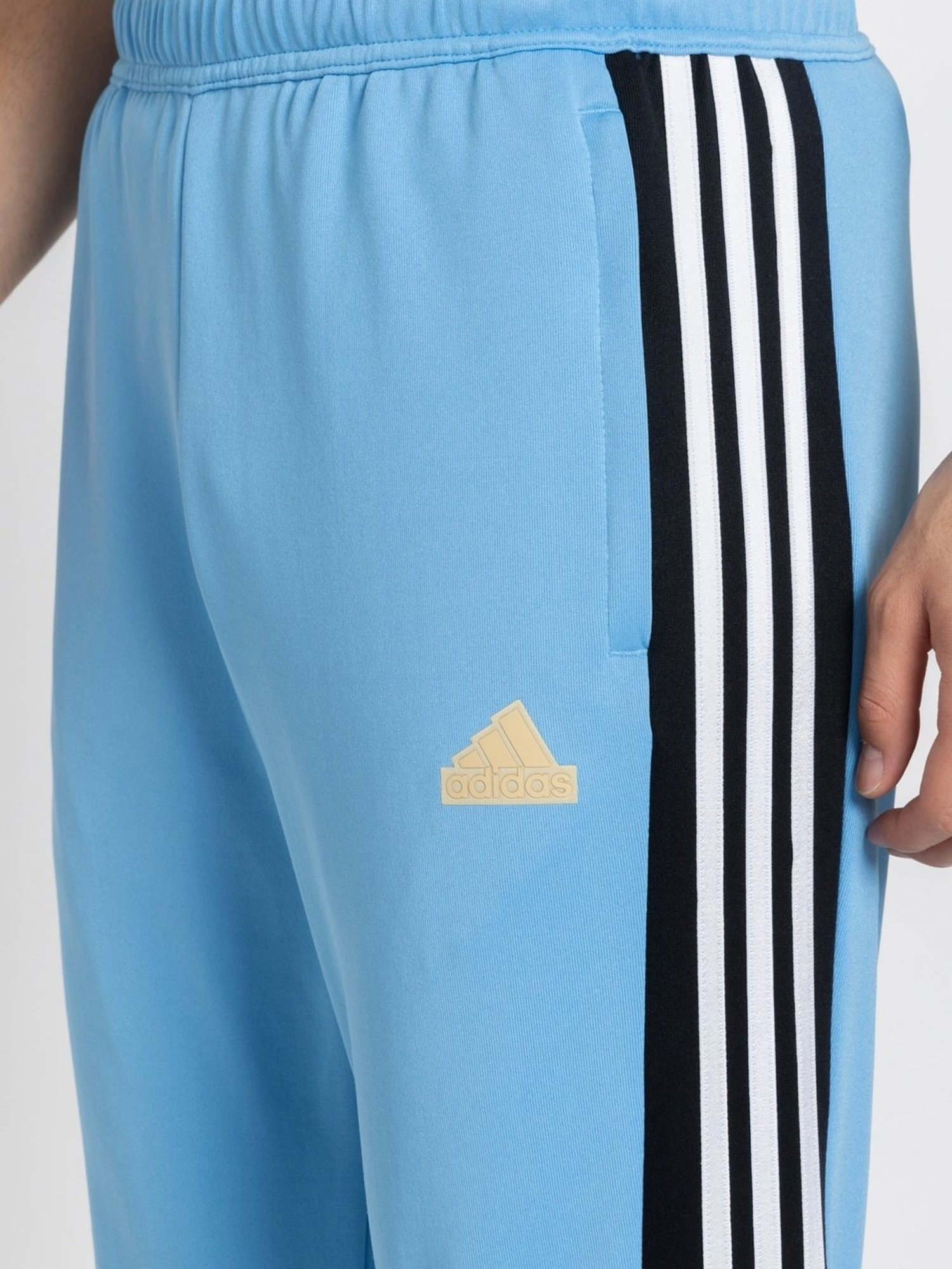 Basics Green Jogger Track Pant