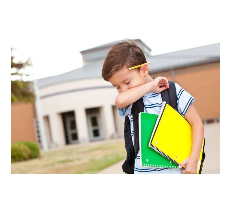 Zicam Medicated Fruit Drops - Ultimate Orange - 25ct