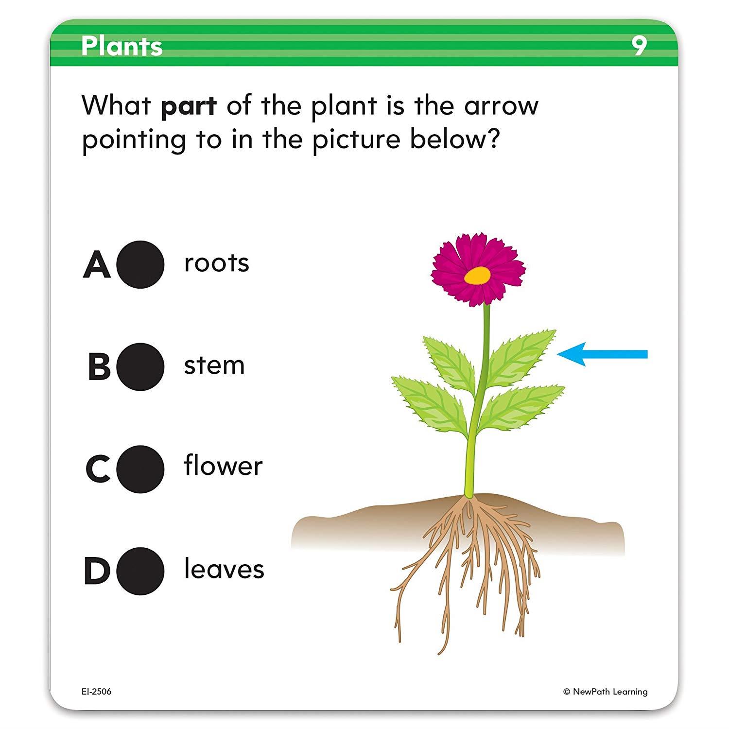 Educational Insights 2506 Hot Dots Science Standards-Based Review Cards - Grade 2