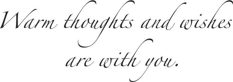 Get Well Greeting Cards - GW1701. Greeting Cards Featuring a Get Well Message on a Light Blue Background with Feather Designs. Box Set Has 25 Greeting Cards and 26 Bright White Envelopes.