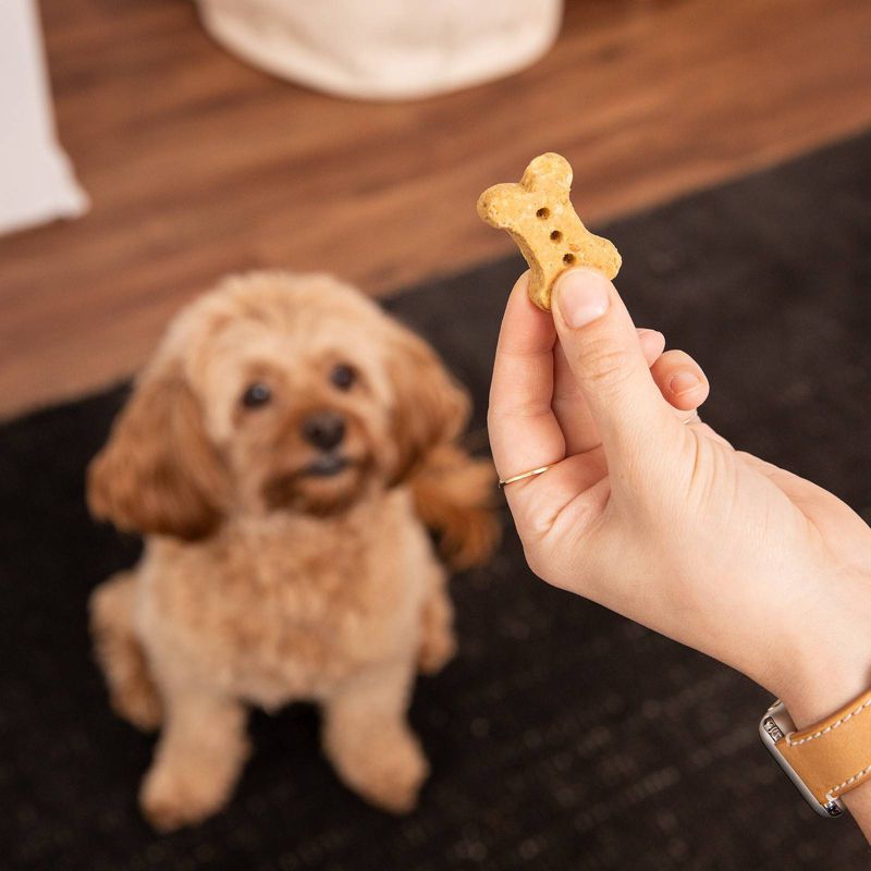 Rocco & Roxie Supply Co. Savory Parmesan with Bacon and Rosemary Dog Treats - 14oz