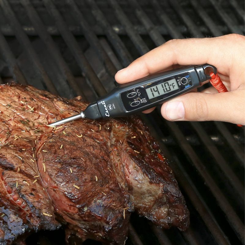 Escali Digital Pen Thermometer
