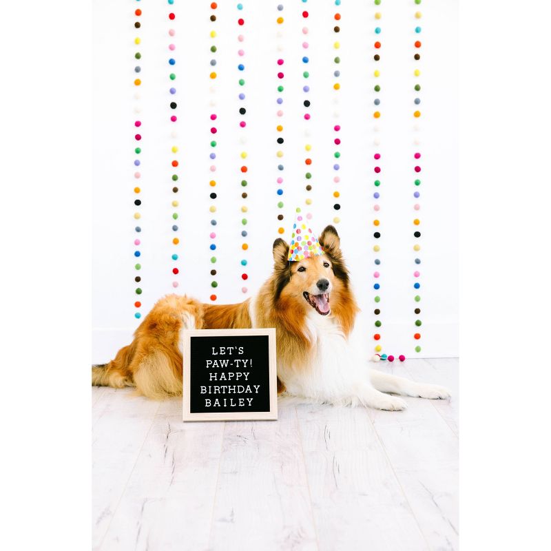 Pearhead Pet Letterboard Set - Black