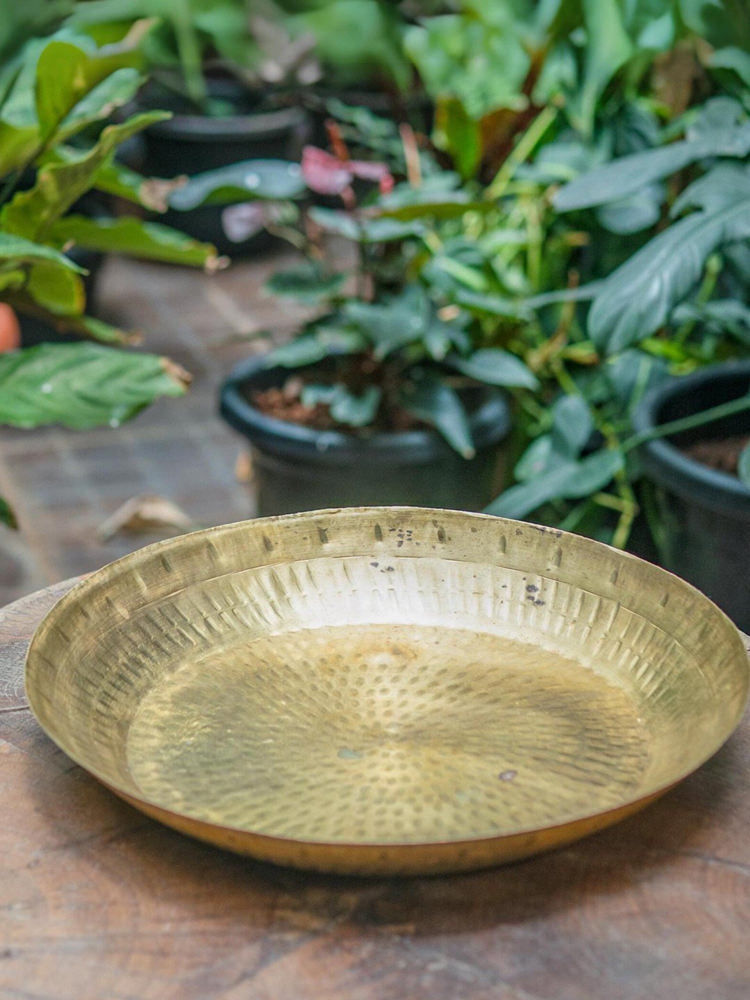 Ambi Handcrafted Classic Brass Parat