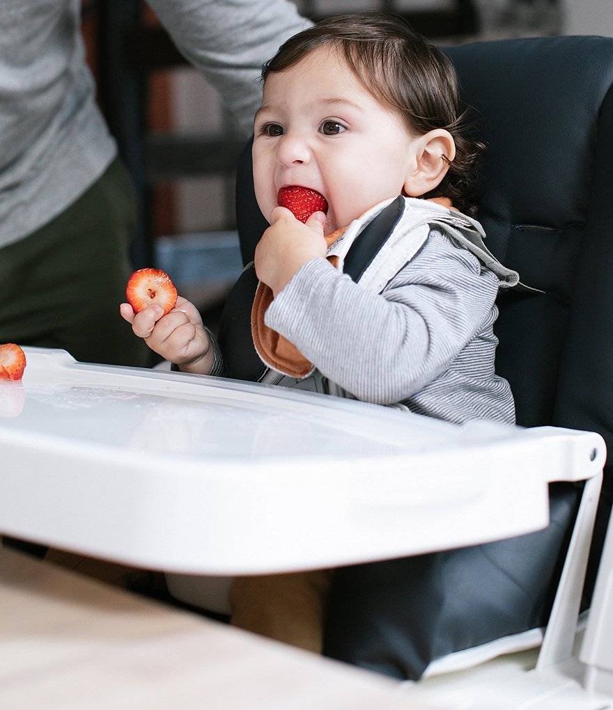 Inglesina Gusto Highchair