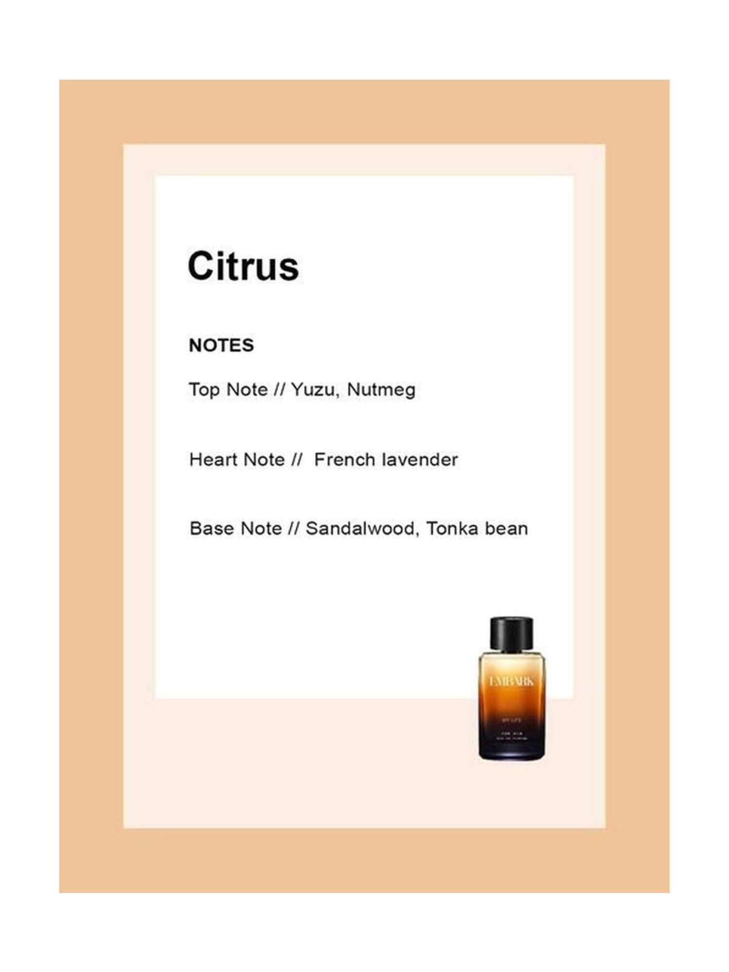 Embark My Life Eau de Parfum for Men - 100 ml