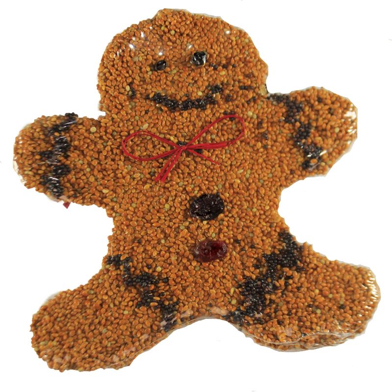 Fruit Feeder - ANCIENT GRAFFITI