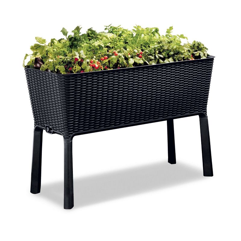 Rectangular Easy Grow Elevated Garden Bed Anthracite - Keter