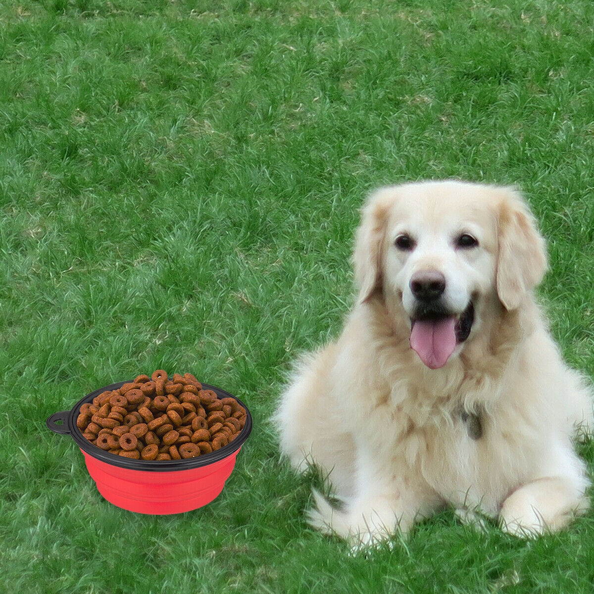 4x Portable Travel Collapsible Foldable Pet Dog Bowl for Food  Water Bowls Dish