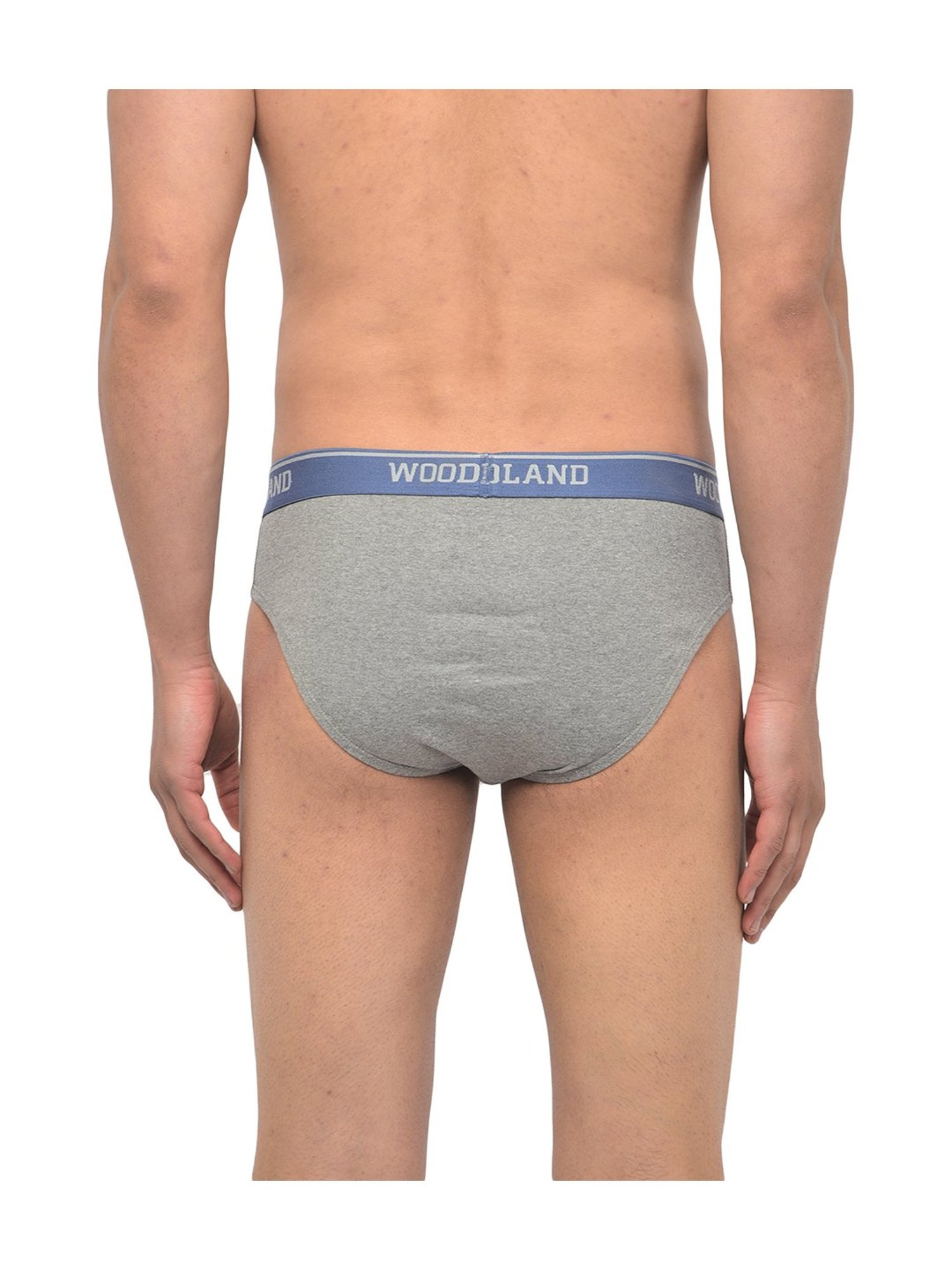 Woodland Light Grey Solid Briefs